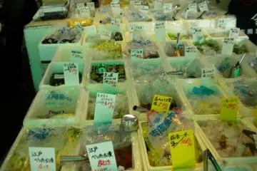An example of the amazing pickles found at Tsukiji
