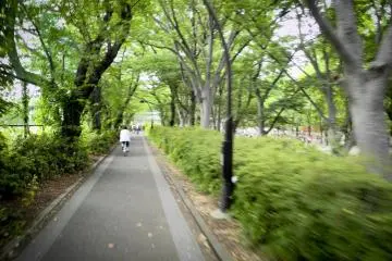 <p>ทางจักรยาน</p>