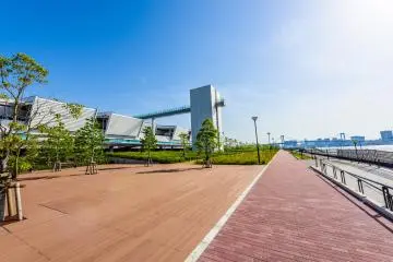 Toyosu Fish Market