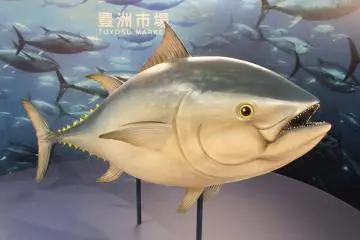 Welcome to Toyosu Fish Market