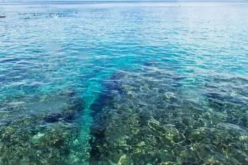 The clear water