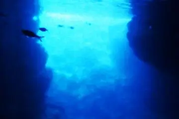 The cave