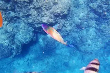 Beautiful colours