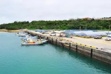 The colour of the water at the port was really beautiful.