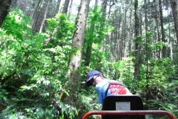 Our driver checking to see we hadn't tumbled out of the cart and down the mountain