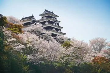 Ozu Castle in cherry blossom season