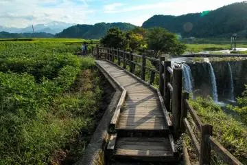 Having crossed the bridge there is a path which will take you back to the falls