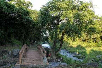 This path will take you back to the car parking of the restaurant