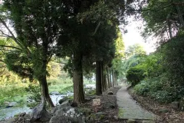 Loved this path as I was the only person there