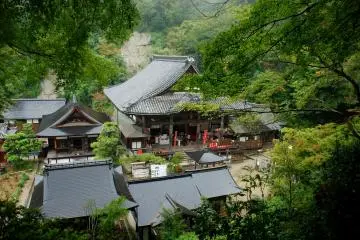 Pèlerinage de Nara-Yamato