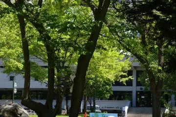 <p>Art dans le parc du Campus de l'Universit&eacute; de Hokkaido</p>