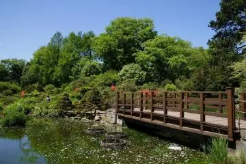 The bridge leading to the massive gardens run by Hokkaido University