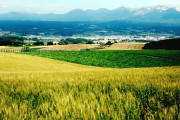 Tateno Cycle in Naka-Furano