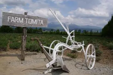 Experiencing Furano