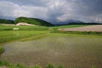 The countryside of Furano