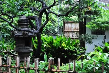 I love how the colours pop because of the rain. Everything looks so lush.
