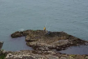Going for the catch of the day
