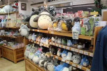 Totoro (Photo: Erika Clark )