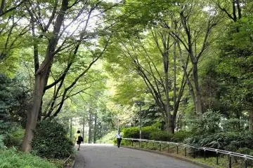 Shinjuku Central park (Photo: <a href="https://commons.wikimedia.org/wiki/File:Shinjuku_Central_Park_-_DSC04696.JPG" target="_blank" rel="noreferrer noopener nofollow">Daderot</a> / Public Domain)
