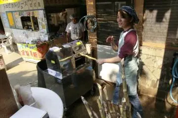 Fresh-pressing sugarcane stalks into juice at Papaya in Yonehara