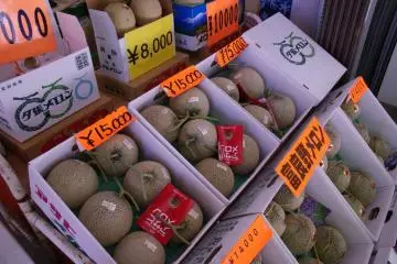What a $150 melon looks like