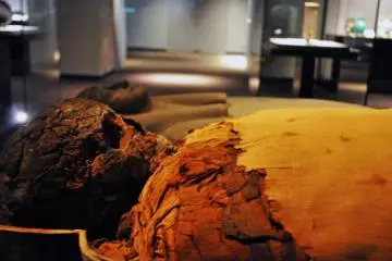 Mummy of Pasherienptah. 945-730 BC. (Photo: Michelle Madden)