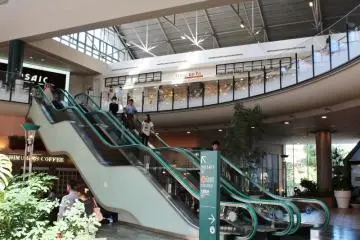 Curved escalator