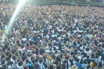<p>สัญลักษณ์ X เพื่อ X Japan</p>