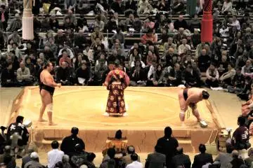후쿠오카 스모