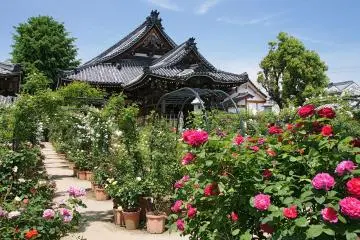 Photo:  Ofusa-kannon Kashihara Nara pref Japan01s3 – <a href="https://commons.wikimedia.org/wiki/File:Ofusa-kannon_Kashihara_Nara_pref_Japan01s3.jpg" target="_blank" rel="noreferrer noopener nofollow">663highland</a> / <a href="https://creativecommons.org/licenses/by-sa/3.0/deed.en" target="_blank" rel="noreferrer noopener nofollow">CC BY-SA 3.0</a>