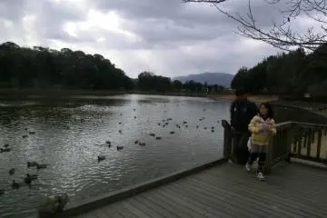 Kashihara Jingu Shrine