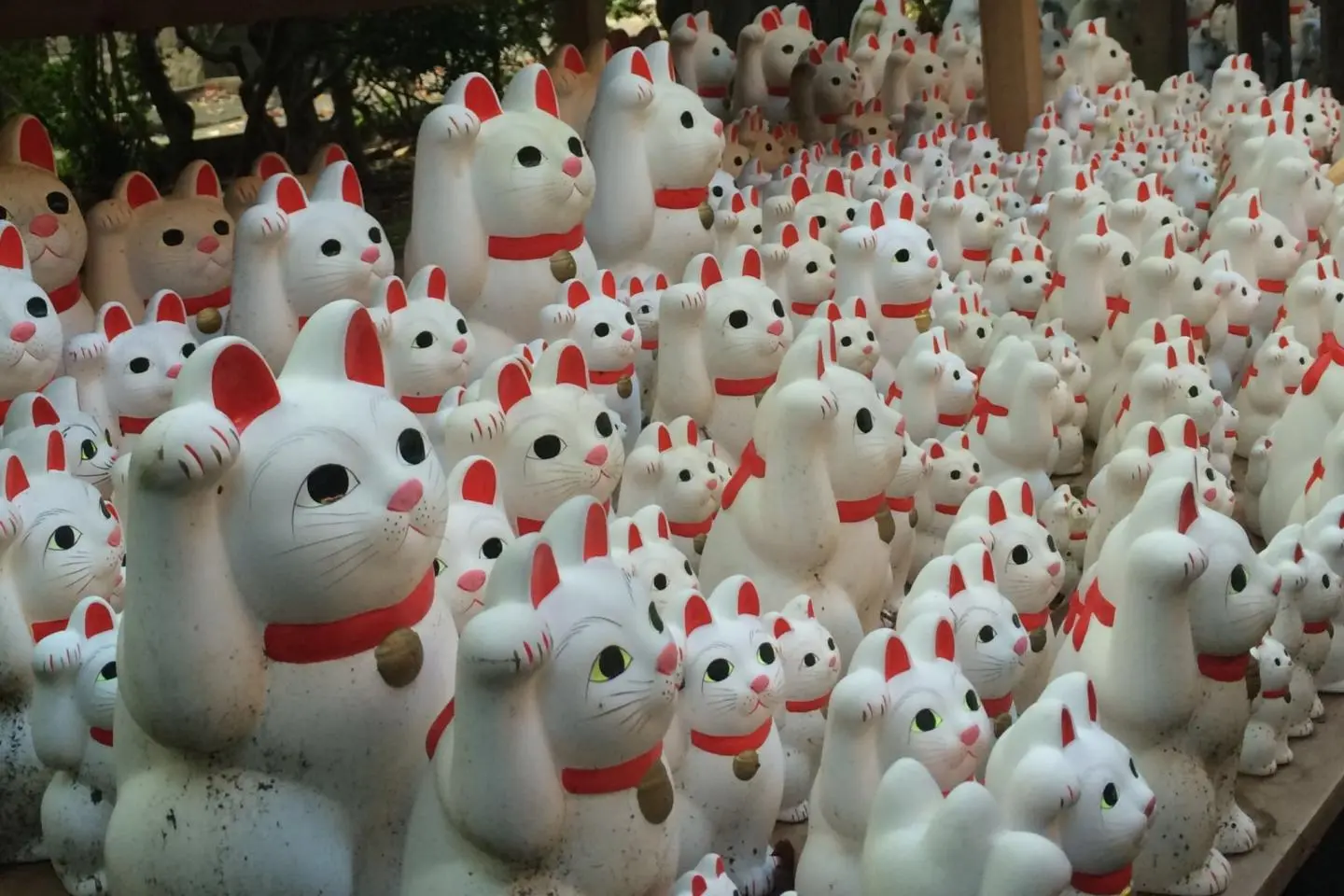 Maneki neko lucky cats in Gotokuji (cropped) (Photo: Nesnad / CC BY-SA 4.0)