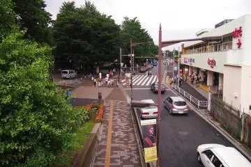 On one end of the bridge is the relaxing life full of greenery at Ueno.