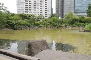 THE Pond