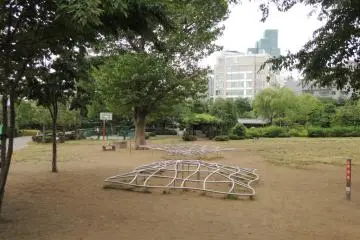 거미줄 