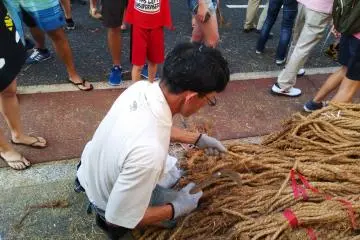 Everyone is welcome to cut off and bring home as much rope as they can carry.