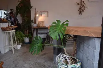 The decor is beautifully rustic and minimalist