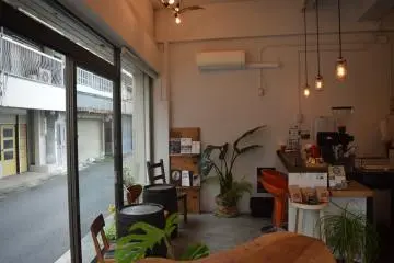 Wooden accents with gorgeous greenery and white walls complete the minimalist vibe