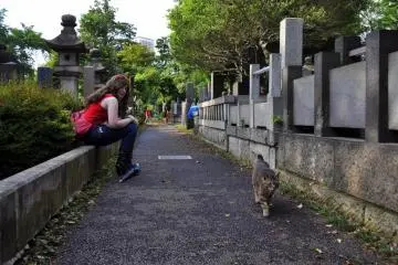 Some cats will come up to you if you're patient; others will walk on by