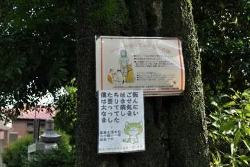 One of many signs about the cats of Yanaka Cemetery Park