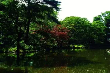 Enjoy the park
