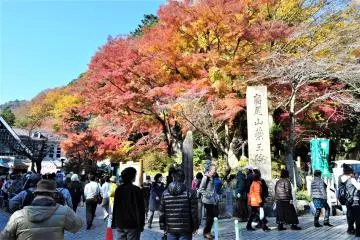 Autumn leaves by the entrance to the cable car station (Photo: ケーブルカー乗り場の清滝駅 – <a href="https://commons.wikimedia.org/wiki/File:%E9%AB%98%E5%B0%BE%E5%B1%B1%E3%83%BC%EF%BC%91.JPG" target="_blank" rel="noreferrer noopener nofollow">江戸村のとくぞう (Edomura no Tokuzo)</a> / <a href="https://creativecommons.org/licenses/by-sa/3.0/deed.en" target="_blank" rel="noreferrer noopener nofollow">CC BY-SA 3.0</a>)