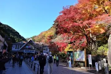 Mount Takao Autumn Leaves Festival 2026