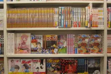 You can get some cultural education from mangas too!
