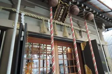 Gallery image