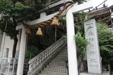 Gallery image
