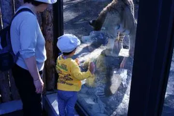 The little ones love the big cats