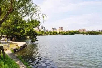 A belt of trees follow the contour of the lake. (Photo: Michelle Madden)
