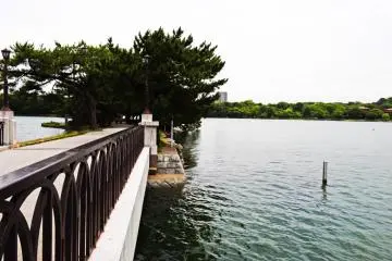 A view from the bridge looking onto the water.