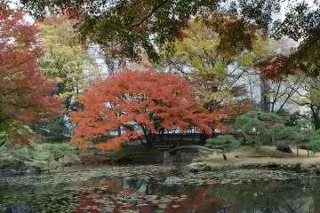 Koishikawa Kōraku-en